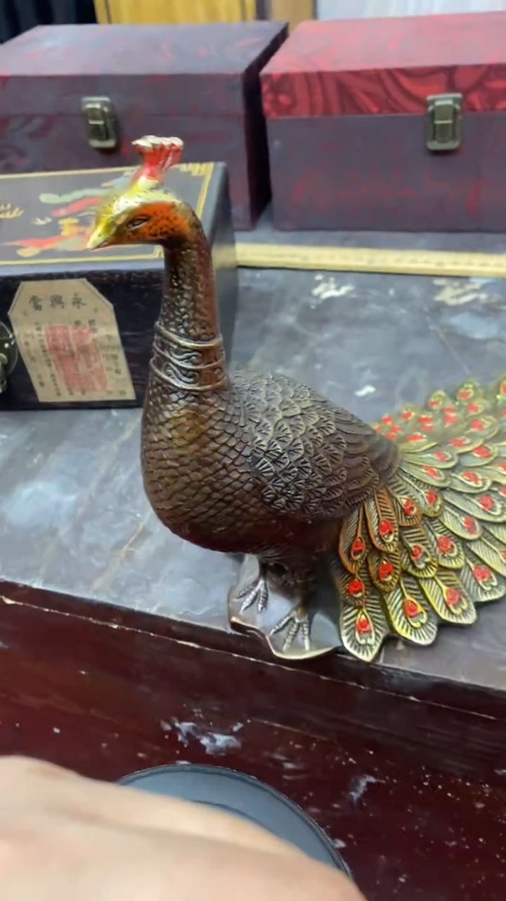 【闪购商品】其他                   