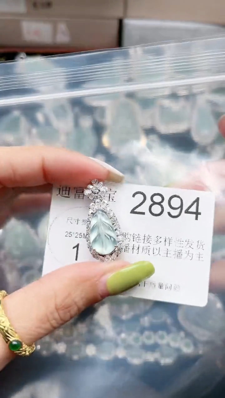 【闪购商品】翡翠颈饰未镶嵌2894赠皮绳