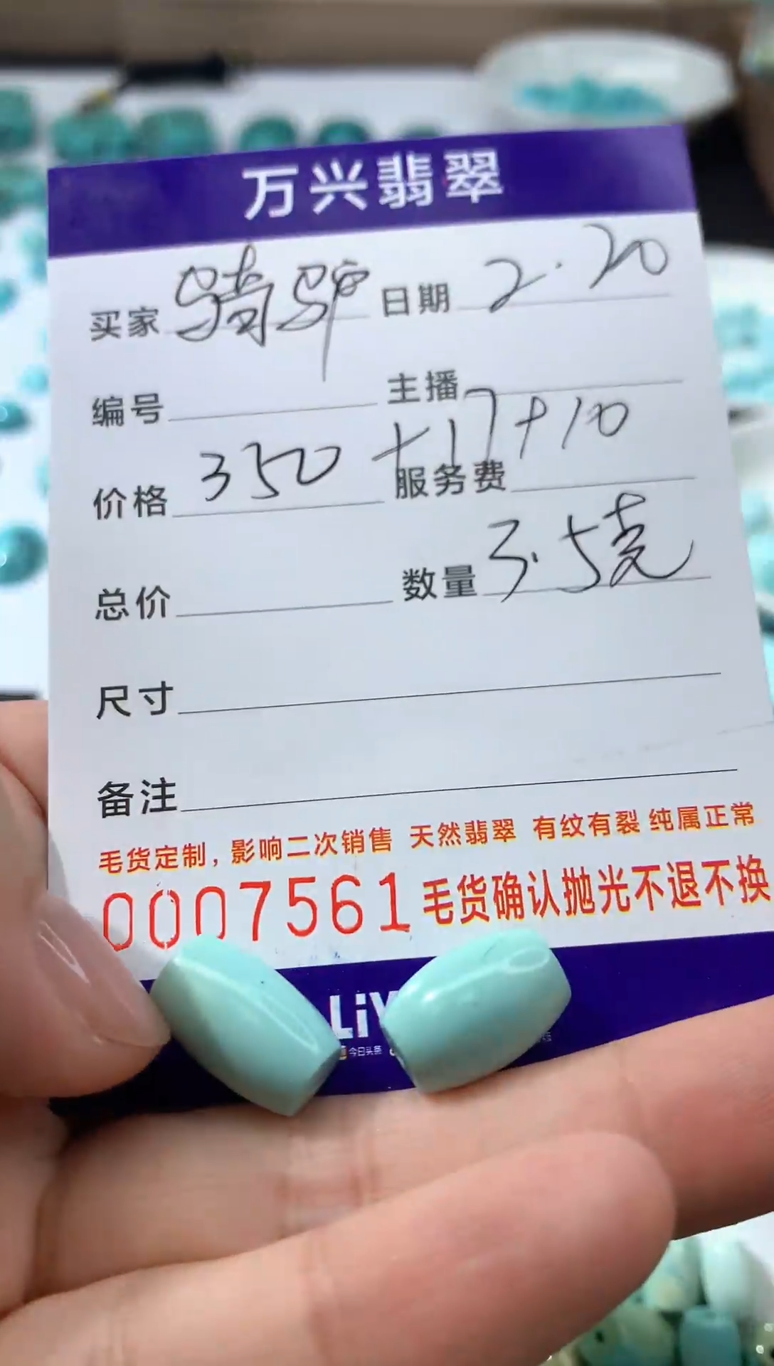 【闪购商品】绿松石颈饰未镶嵌吊坠