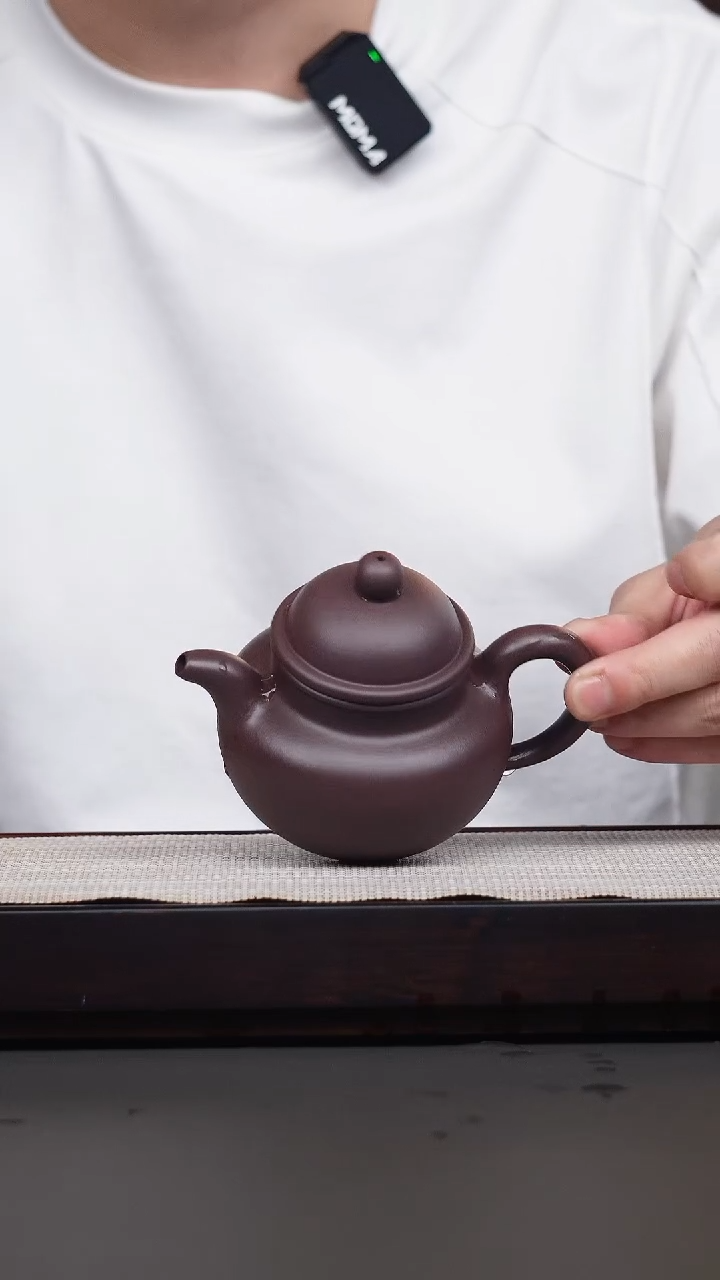 茶壶紫砂冰窖底槽清寿珍掇球