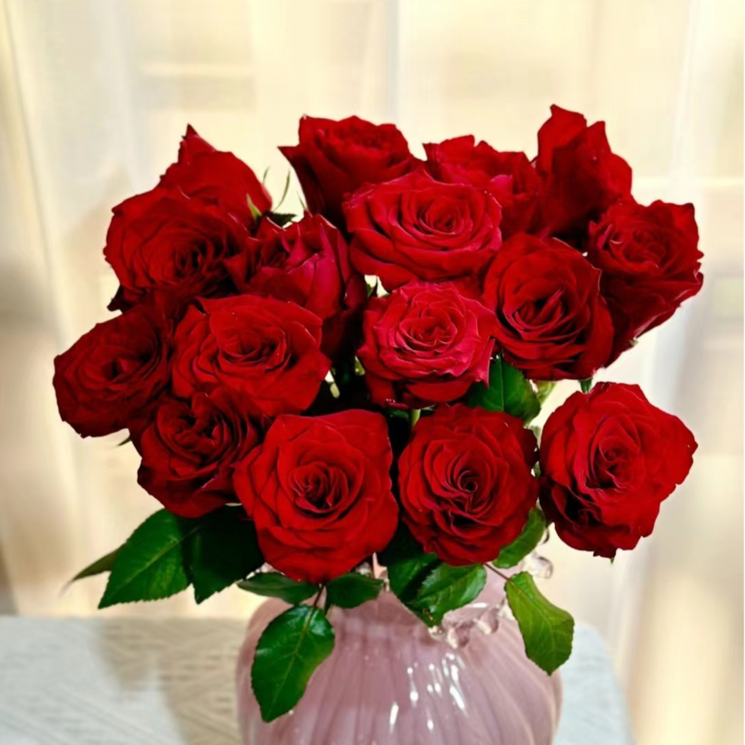 【花相拾】探险家-单头玫瑰红丝绒质感高级优雅