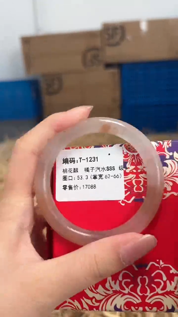 未镶嵌手镯石英质玉T-1231