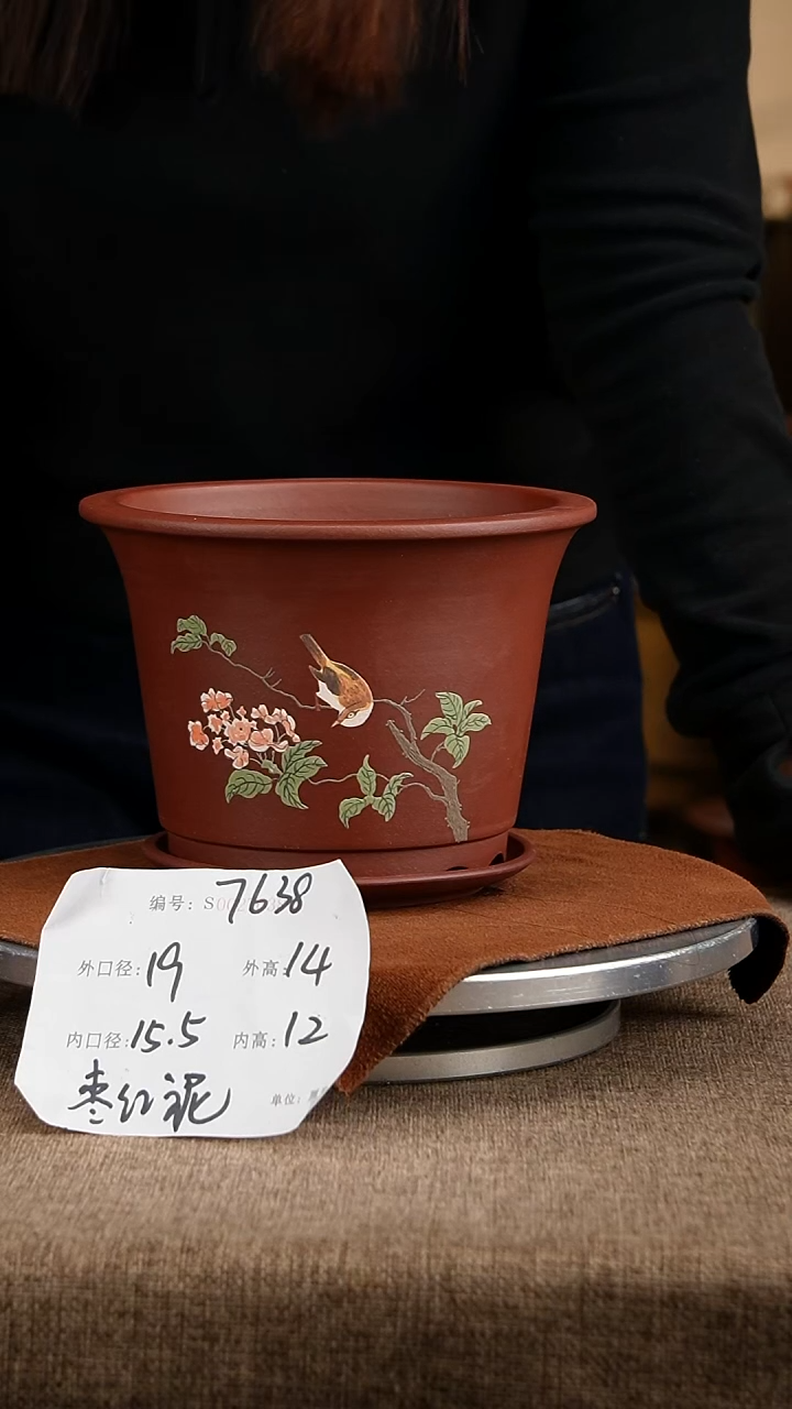 紫砂花盆花卉公园7638+z