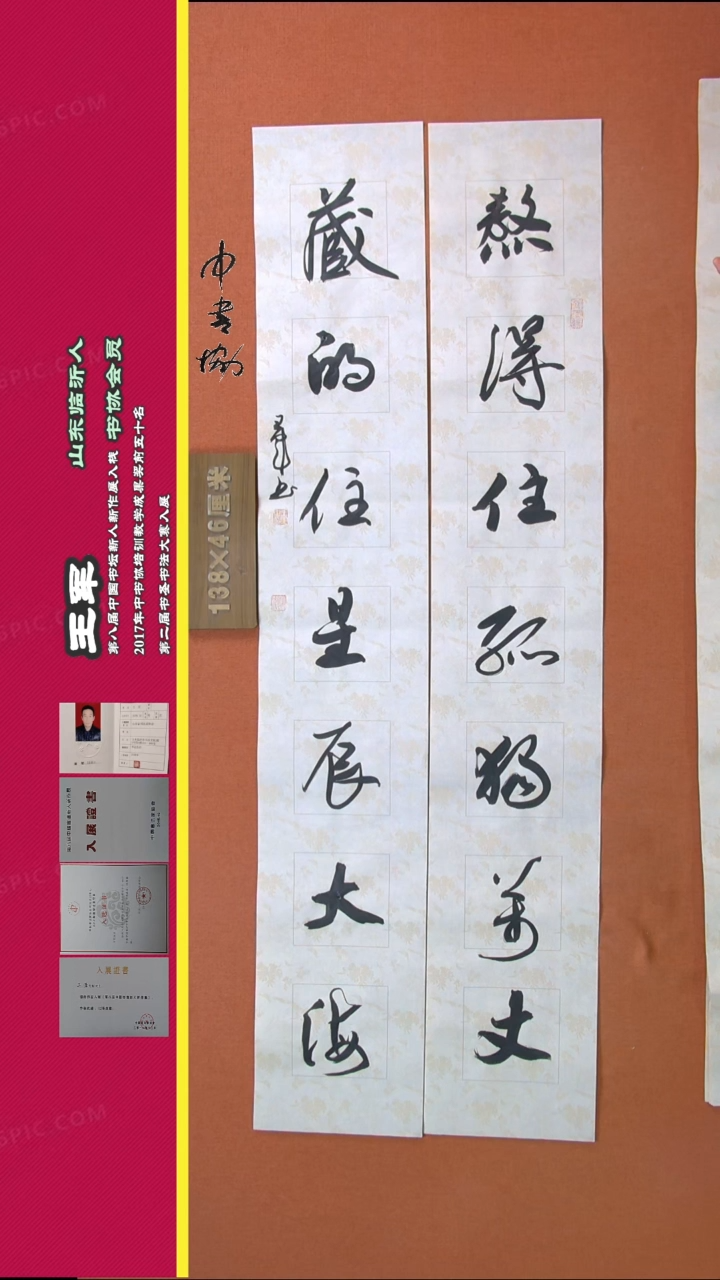 【闪购商品】书法48王军书法作品