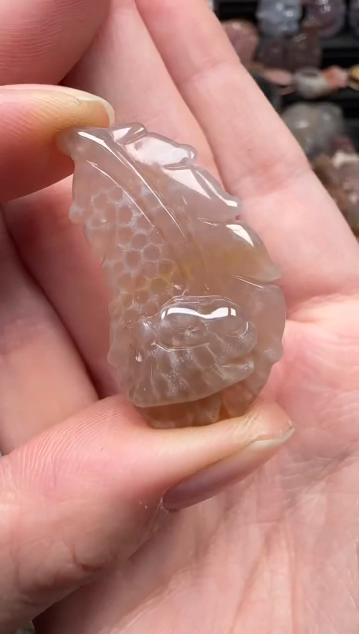 颈饰未镶嵌硅化珊瑚（珊瑚玉）163