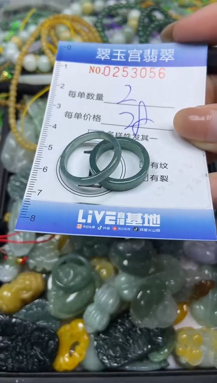 颈饰未镶嵌翡翠闪购C0253056