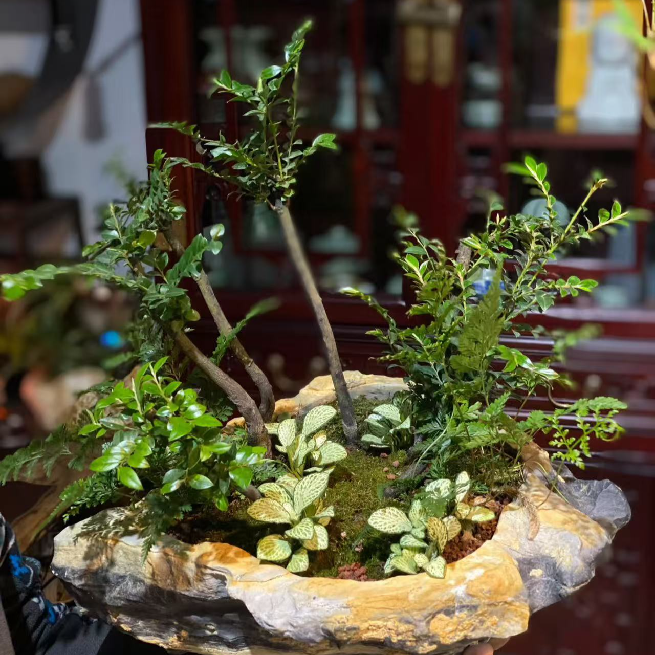 【打孔专用链接】精品灵璧奇石原石花盆鱼缸造景石