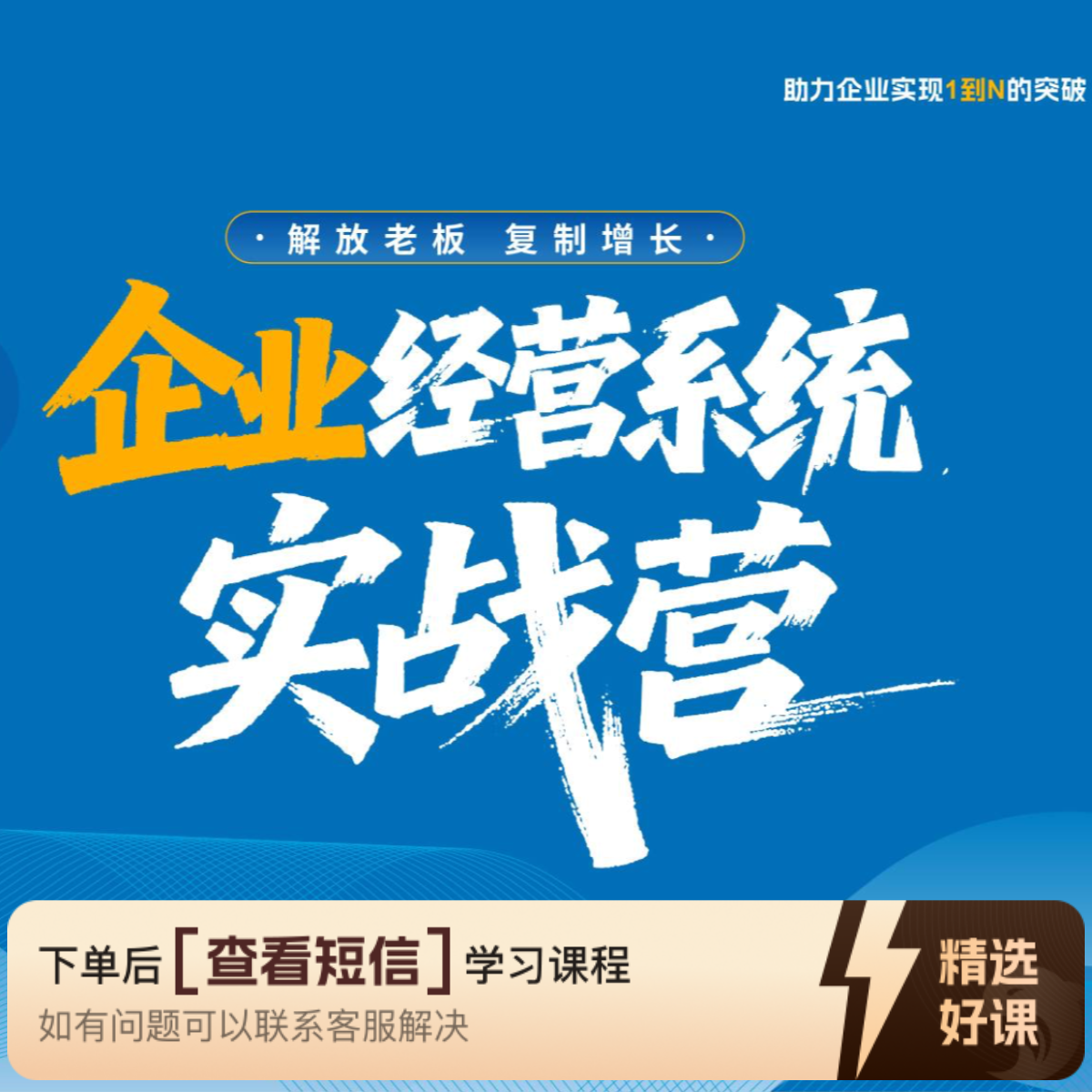 马昕彤企业经营系统（nbs）（留意短信解锁课程）