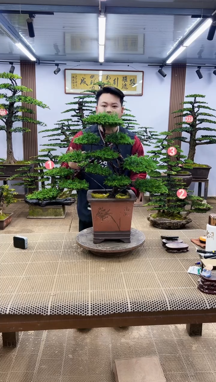 【闪购商品】00000000000