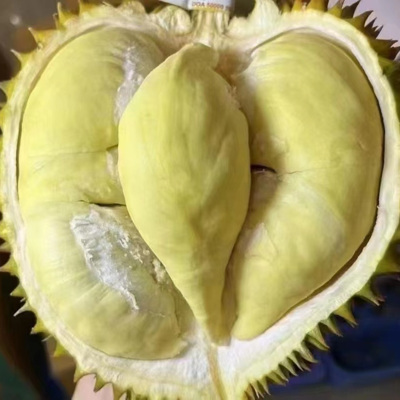 金枕鲜榴莲G核小，金枕泰国