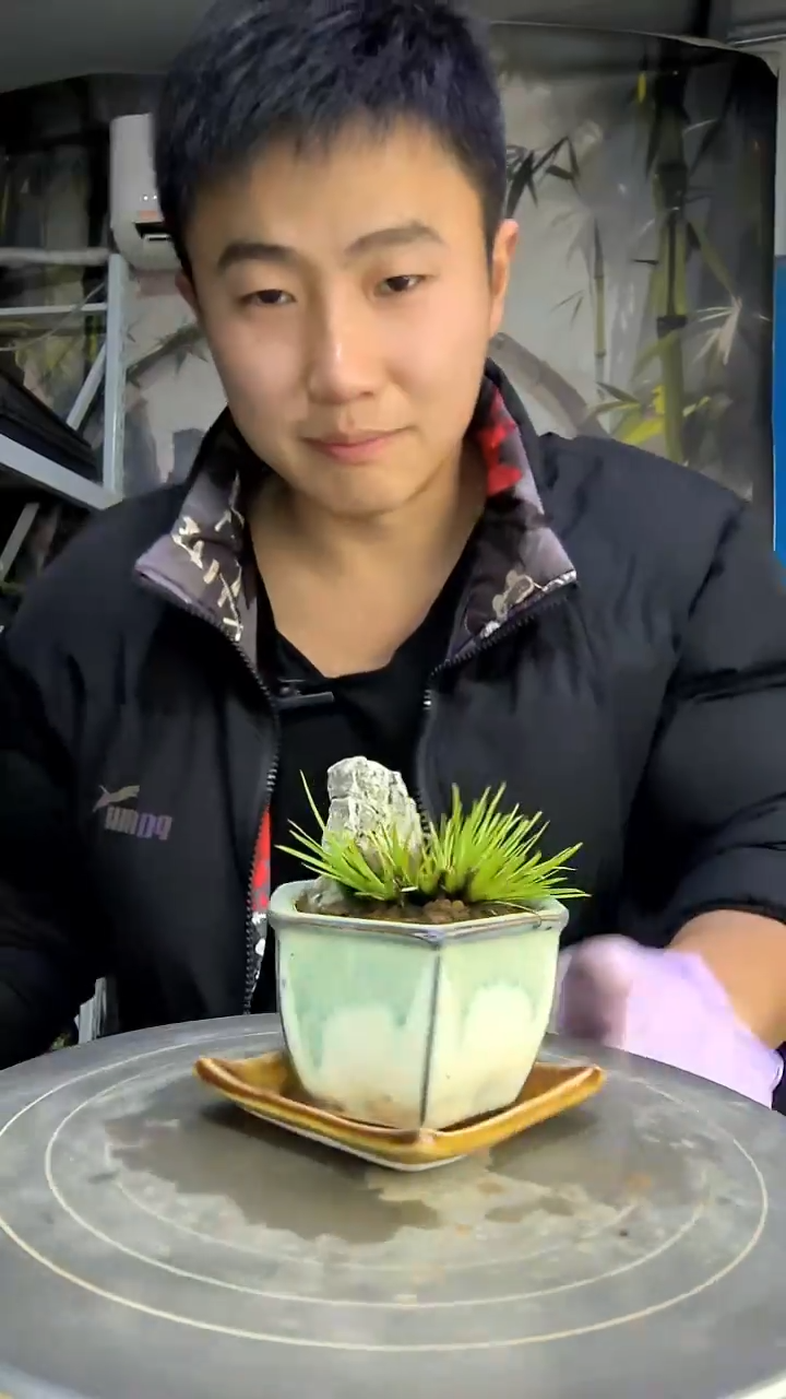 ?****?中青园艺一物一拍花215