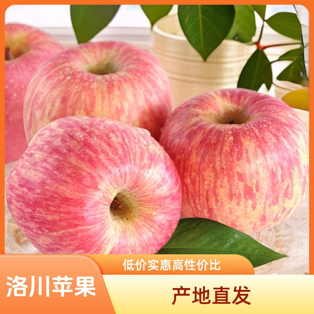 洛川红富士苹果新鲜水果脆甜当季全年产地直发整箱！