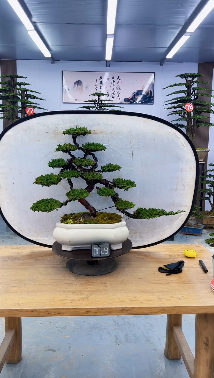 以实际为准00000000