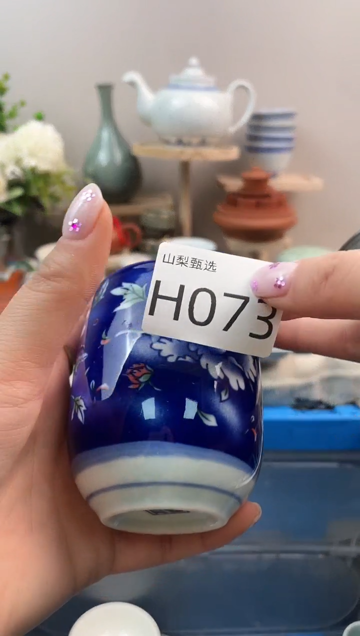 国**南山梨甄选满18包邮H073