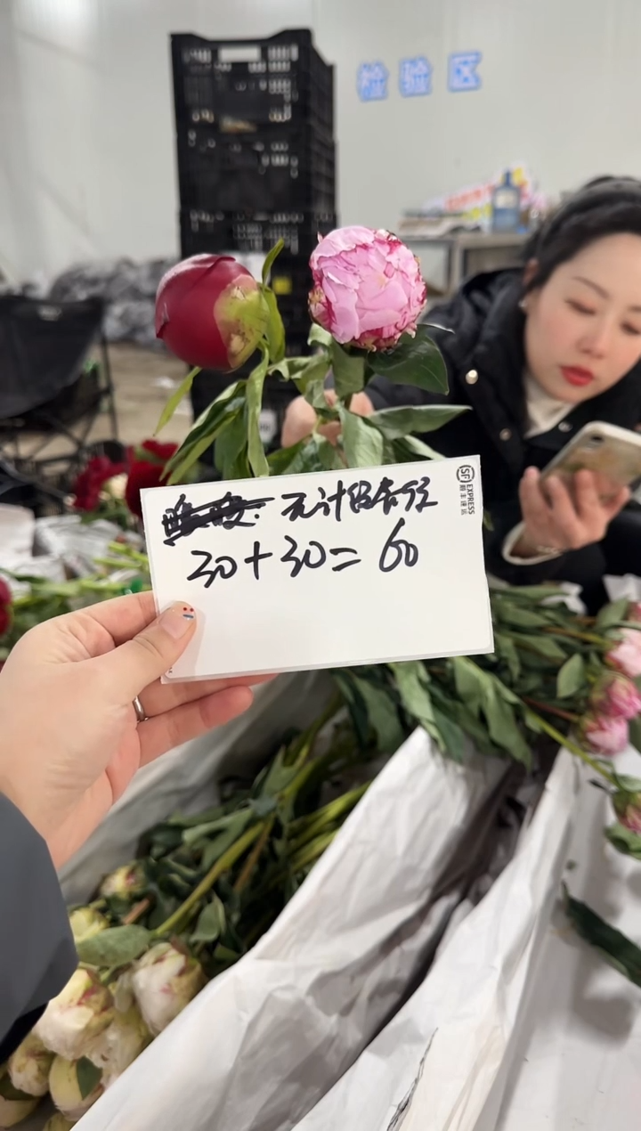 无***住定向 无计留春住