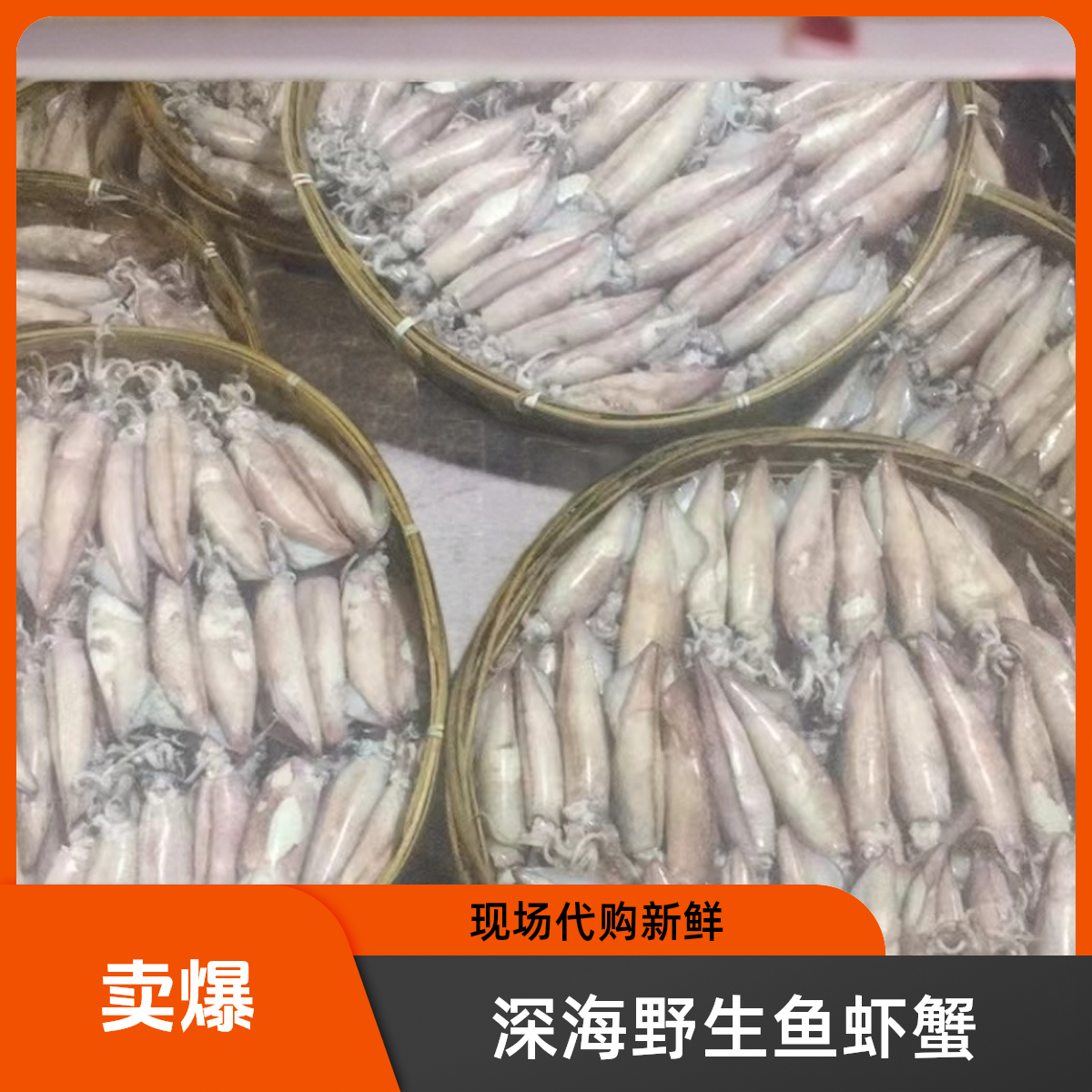深海熟鱿鱼大号3斤起，现场代购(付款不退)