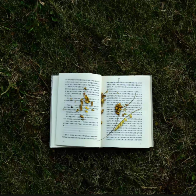 坤哥的智慧人生训练777