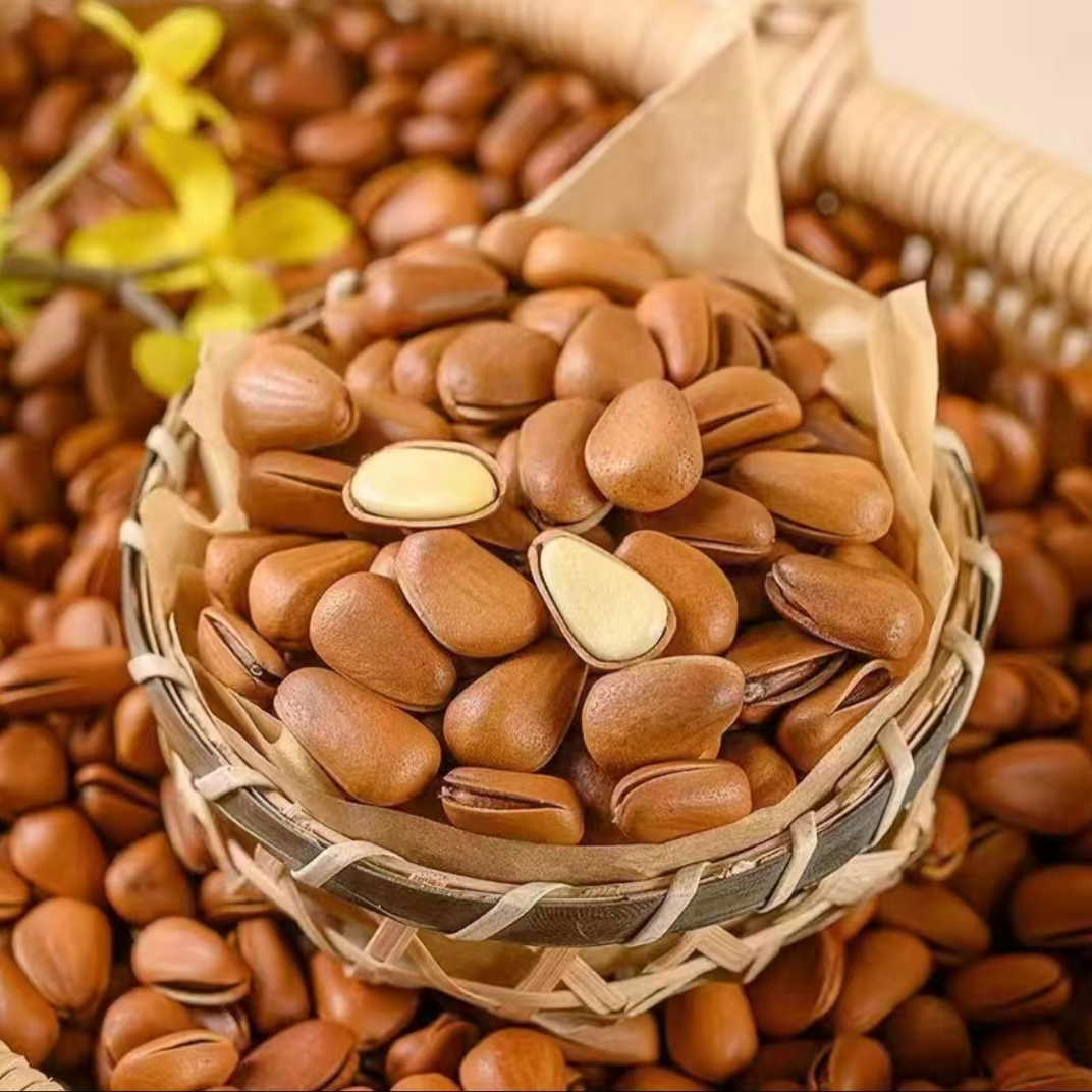 山班长新货开口松子400g一罐