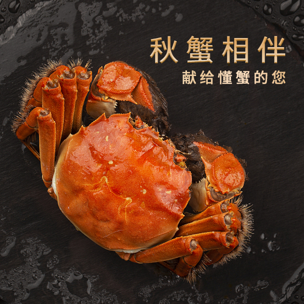SC【活蟹】苏州大闸蟹公蟹5.5-5.2两母蟹4.5-4.2两 8送2到手10只 顺丰空运包邮 活蟹现发M2