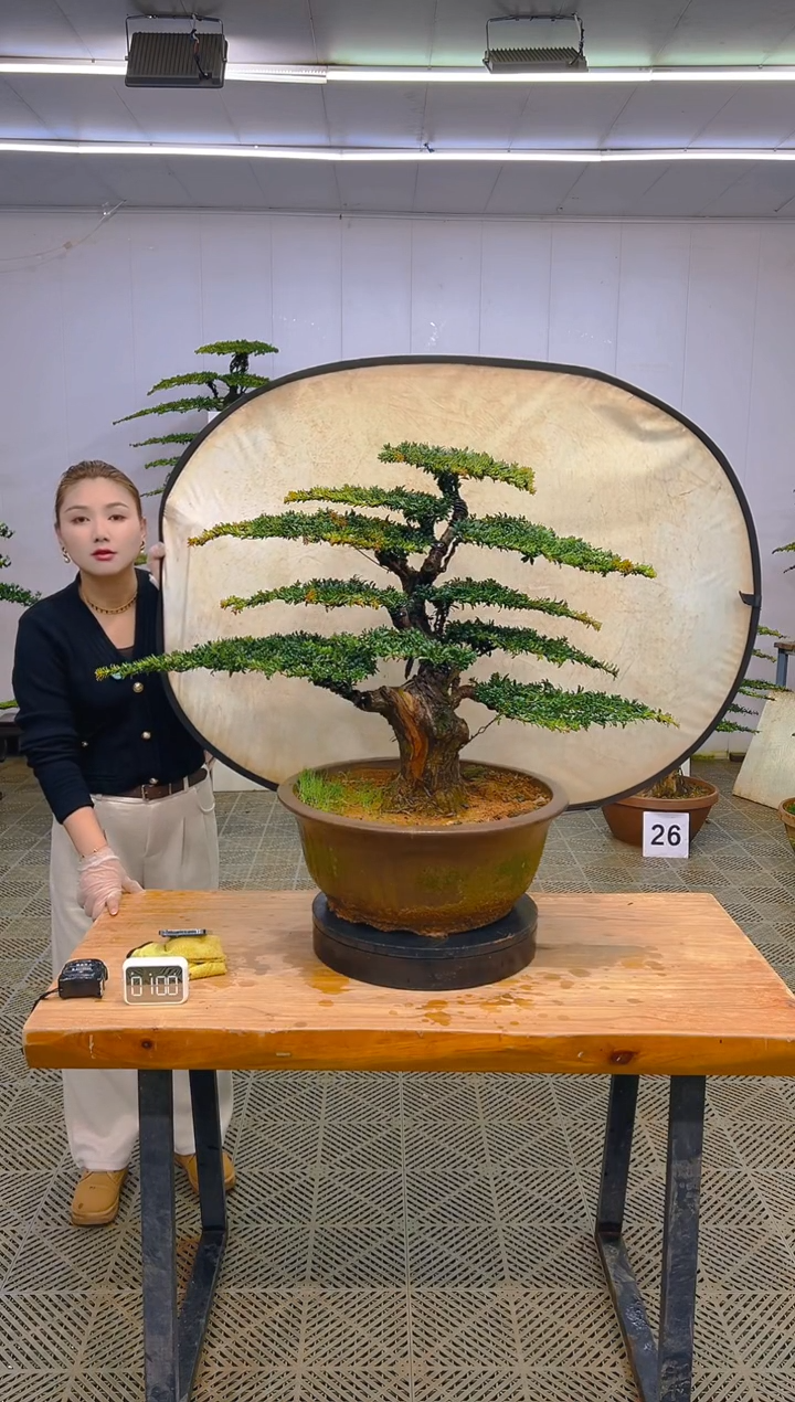 无花朵一物一拍一物一拍