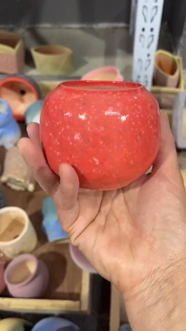 【闪购商品】红陶6.5*6