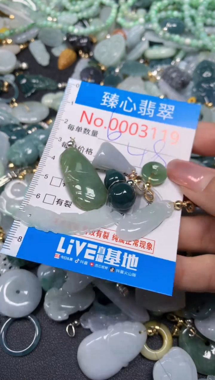 【闪购商品】翡翠颈饰未镶嵌含绳0003119