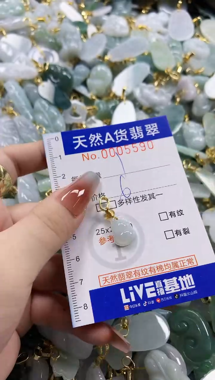 颈饰未镶嵌翡翠天然A货翡翠