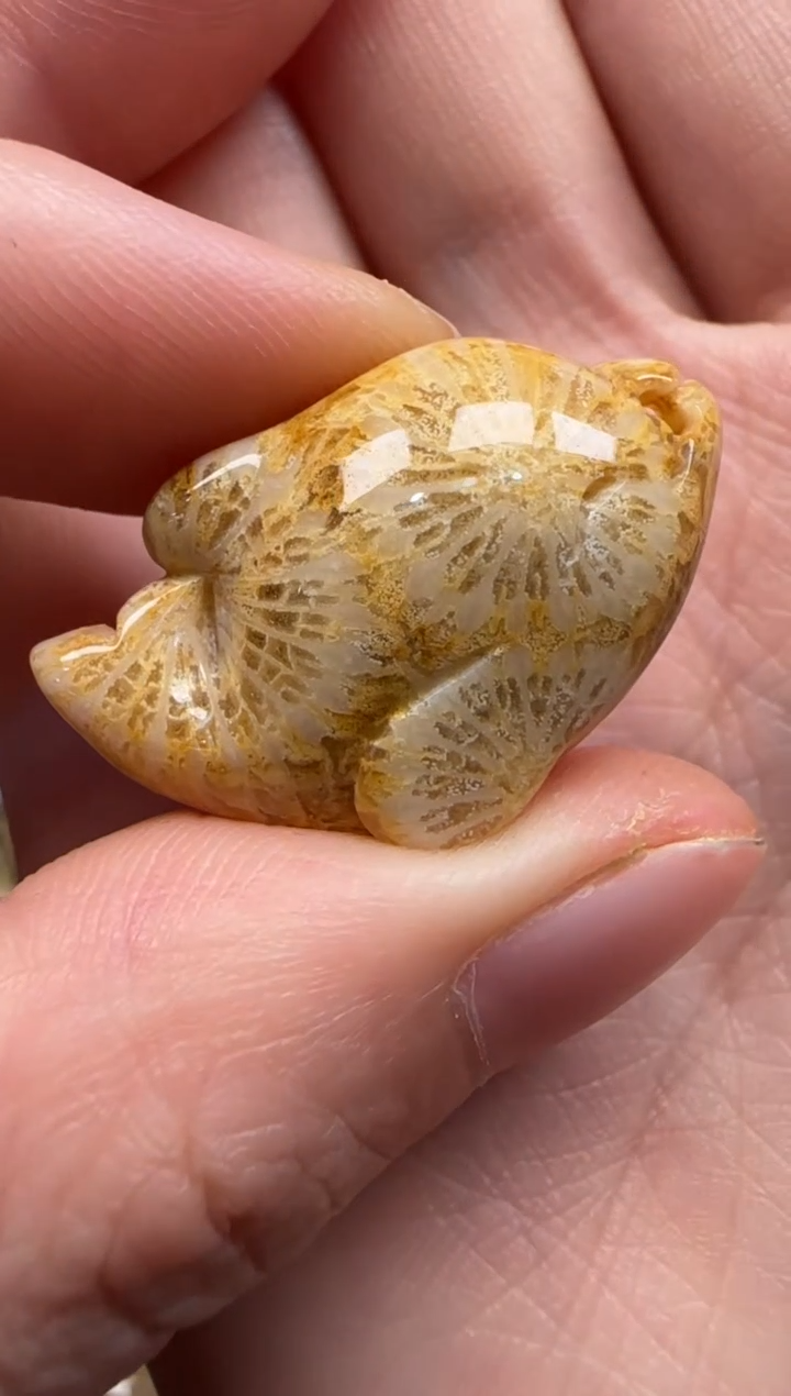 【闪购商品】硅化珊瑚（珊瑚玉）颈饰未镶嵌473