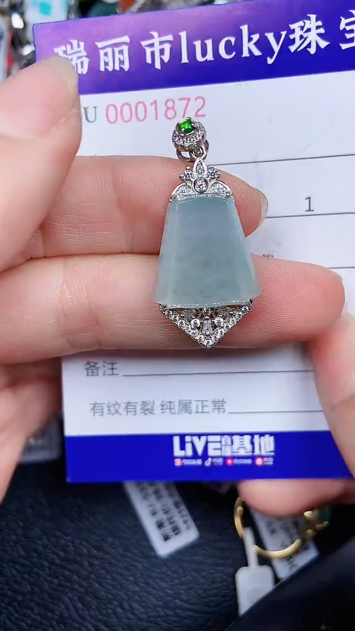 颈饰银S925镶嵌翡翠1872