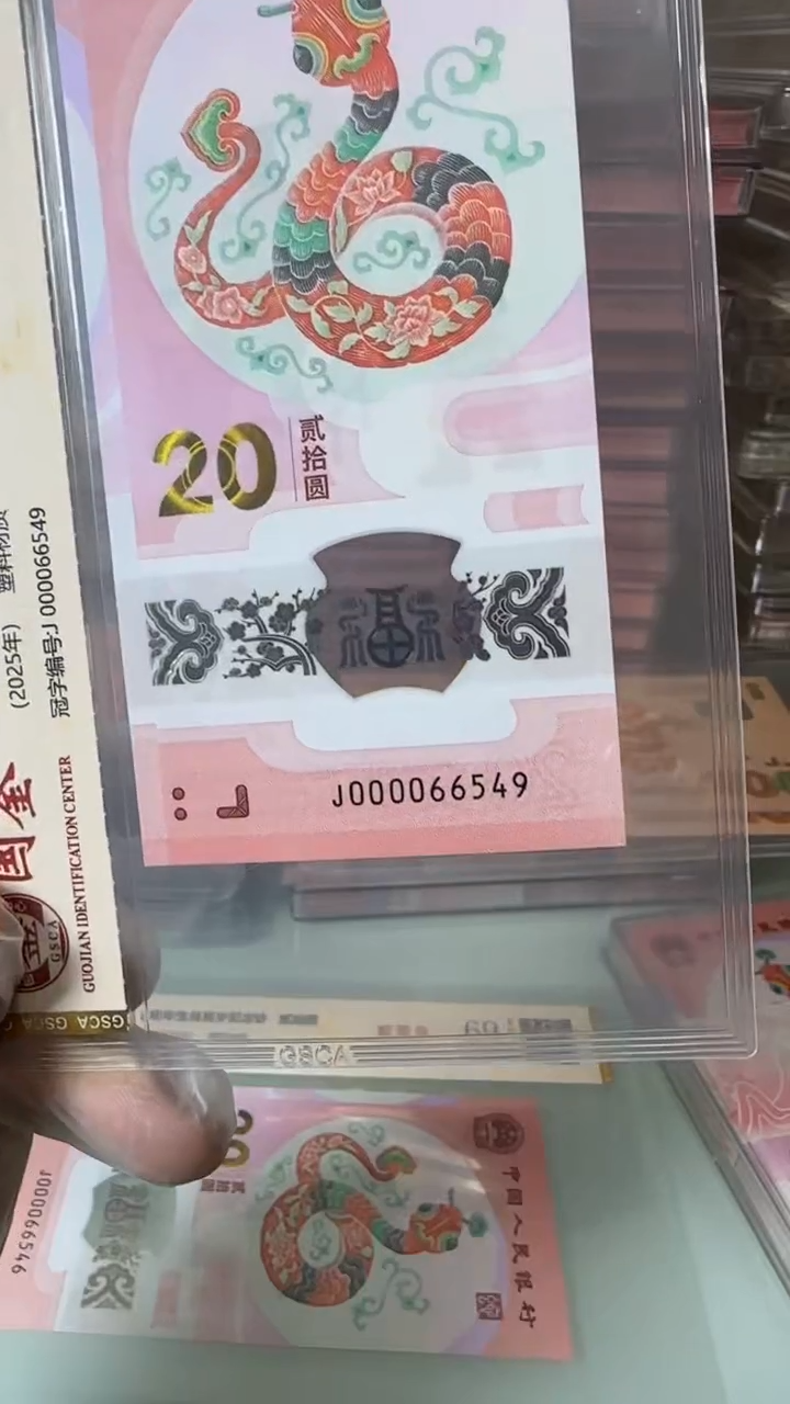 【闪购商品】塑料000066549-蛇钞单张！