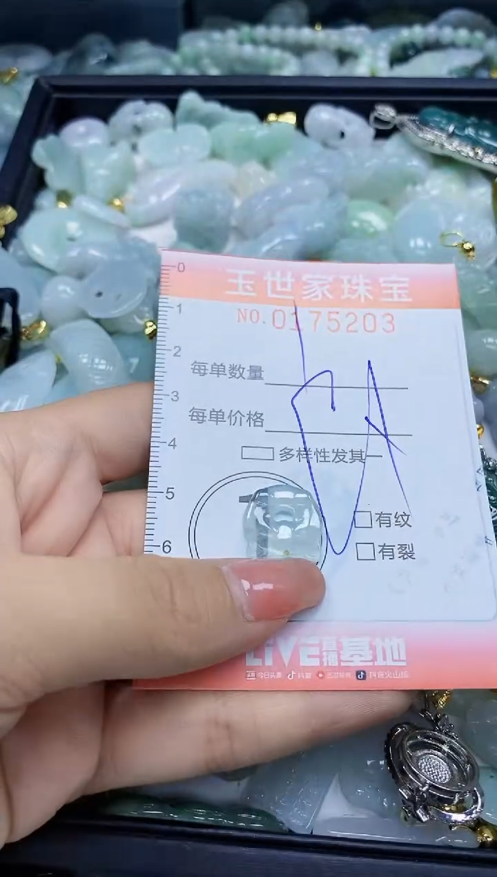 【闪购商品】翡翠颈饰未镶嵌闪购0175203