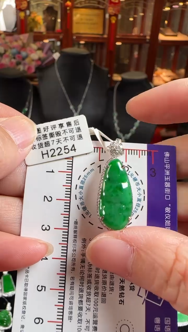 颈饰18K金镶嵌翡翠H2254辣绿豆豆