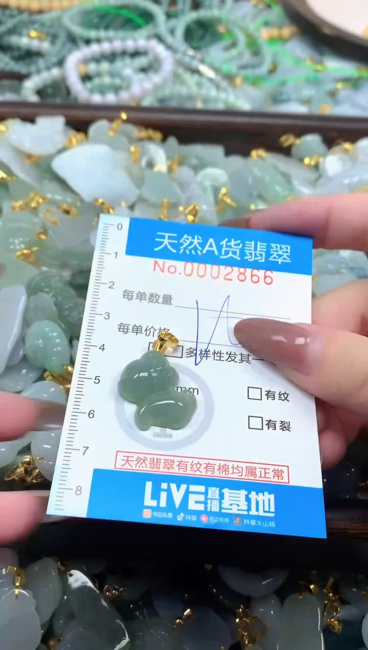 颈饰未镶嵌翡翠净货挂件-2866
