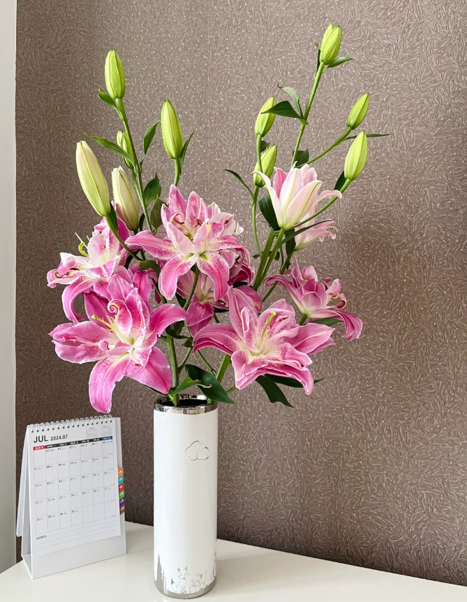 【全场任意两单包邮】紫莲花重瓣百合  单头5枝  （1只不赔付）