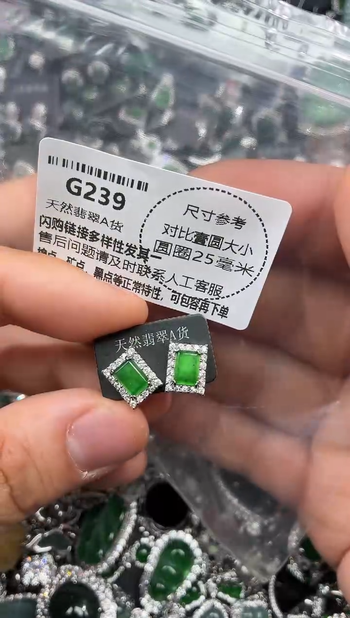 颈饰未镶嵌翡翠G239耳钉