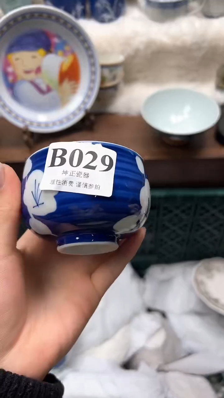 【闪购商品】瓷片          B029