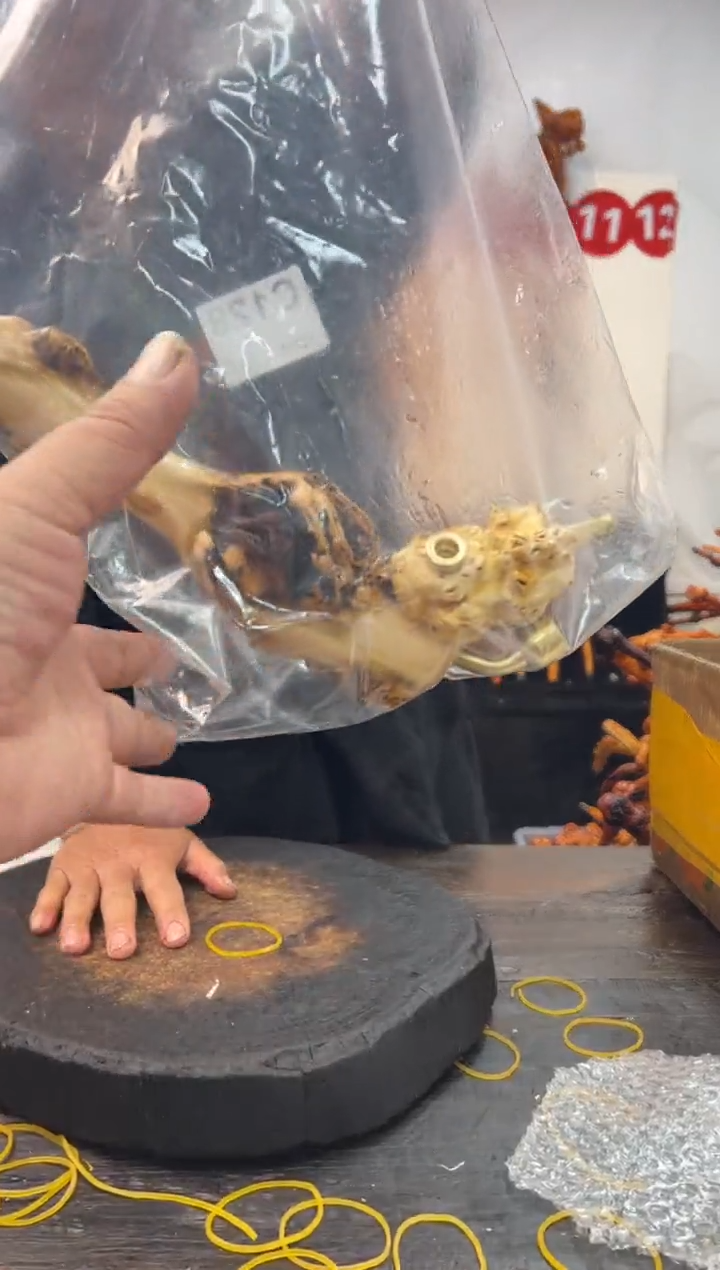 黑果木其他黑果木503