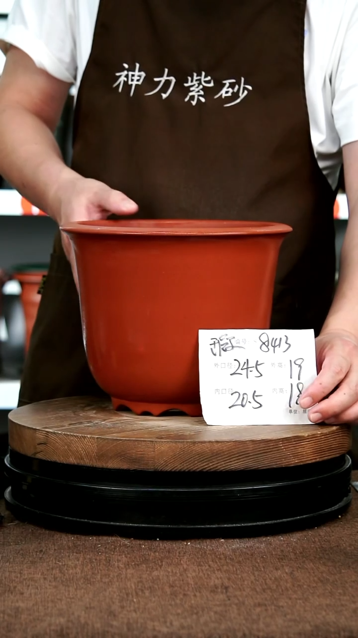 紫砂花盆花卉园艺8413