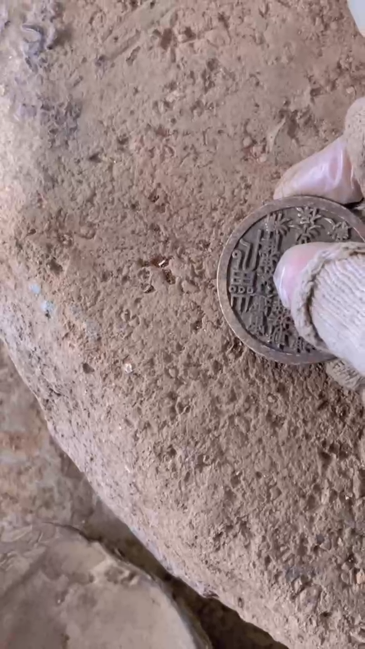 【闪购商品】瓷片手工，手绘，陶器