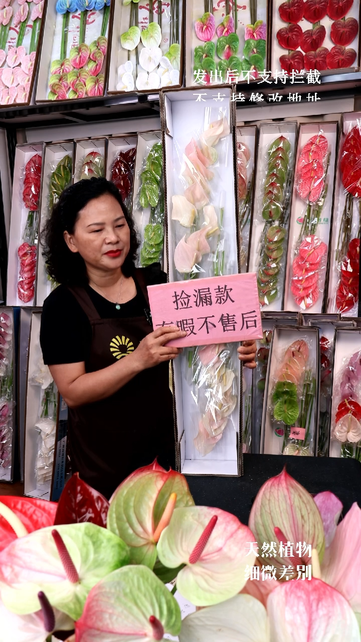 朱莉20不售后..........