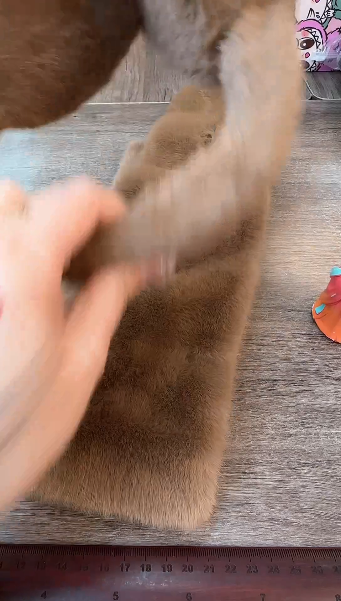 瓷片认准小满买正品@@CQ2988