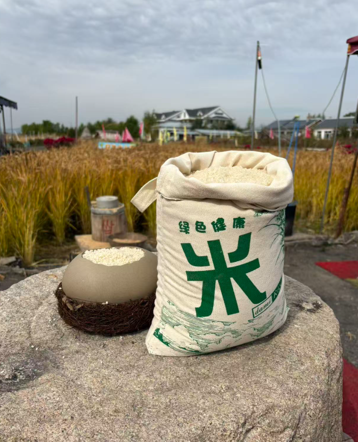 2025年生态胚芽新米自产粗加工不抛光10斤5kg东北黑龙江新大米