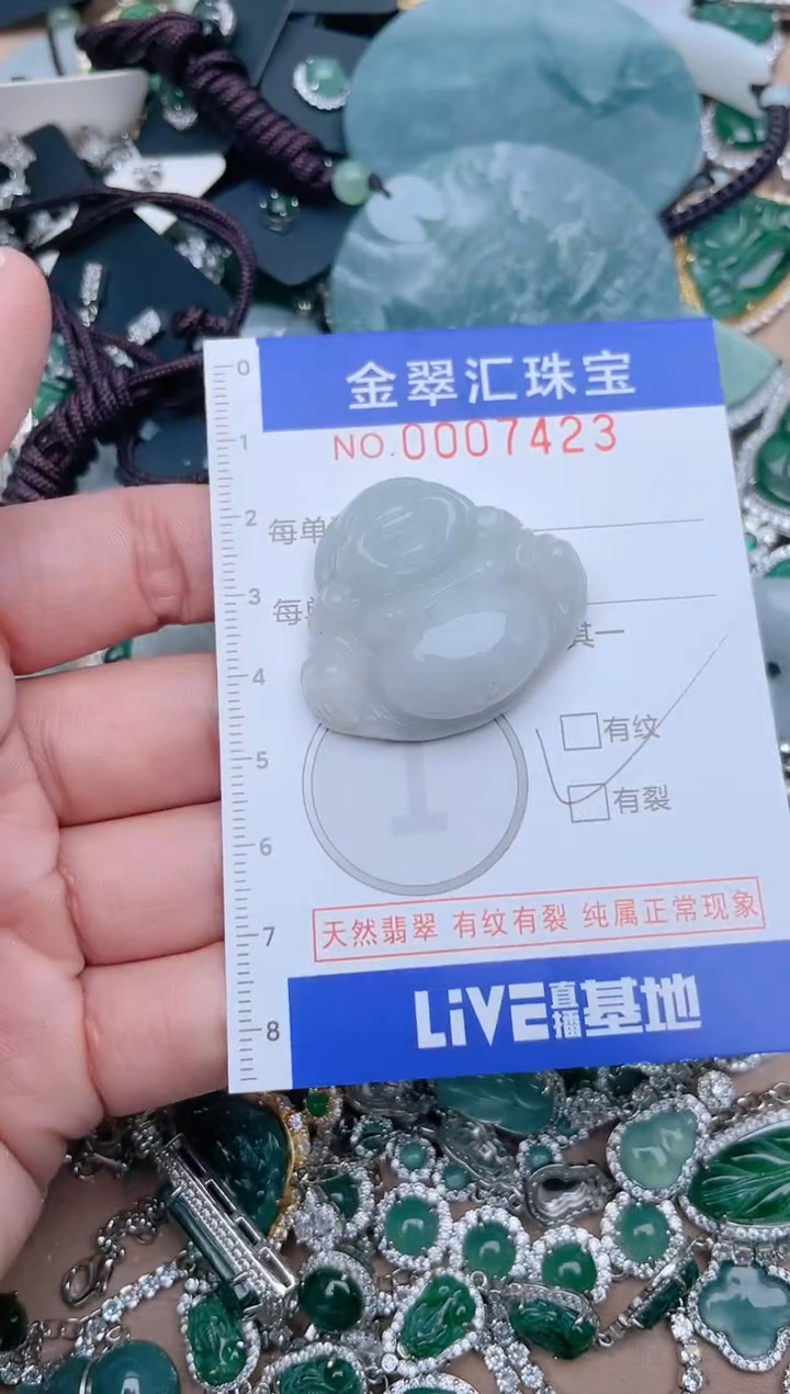 【闪购商品】翡翠颈饰未镶嵌7423......1