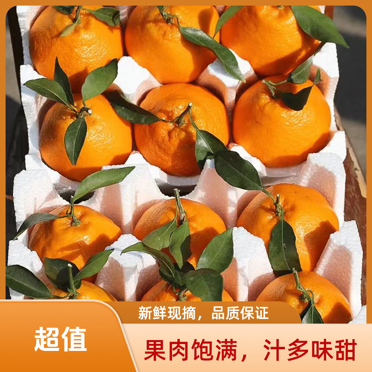 正宗四川春见耙耙柑原产地直发果园直发现摘现发坏果包赔生鲜食品