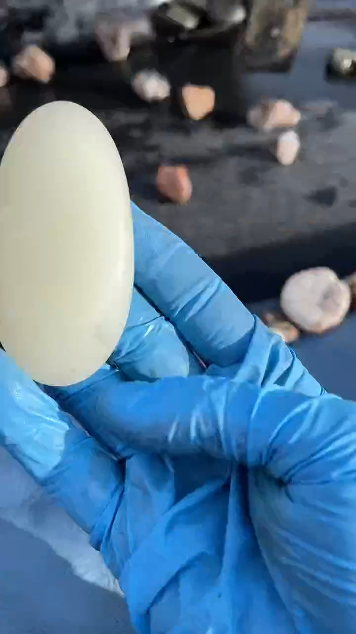 颈饰未镶嵌和田玉（糖玉）001