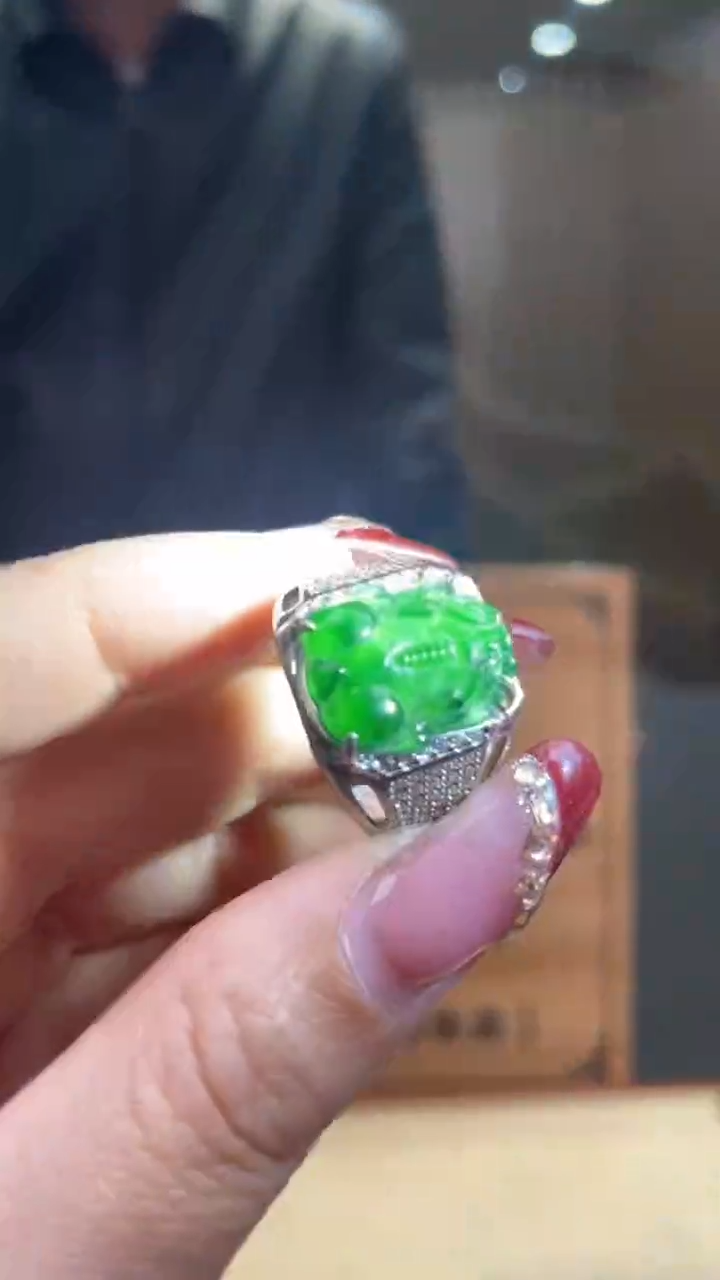 【闪购商品】翡翠颈饰未镶嵌      *80