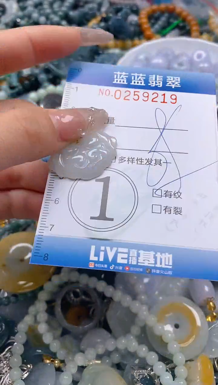 翡翠未镶嵌颈饰闪购0259219