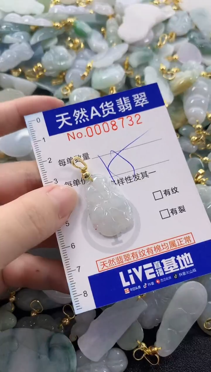 颈饰未镶嵌翡翠天然A货翡翠