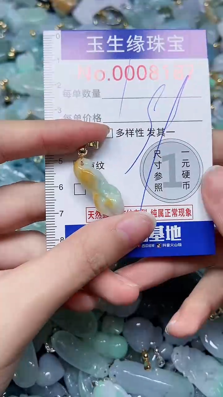 【闪购商品】翡翠颈饰未镶嵌闪购00008187