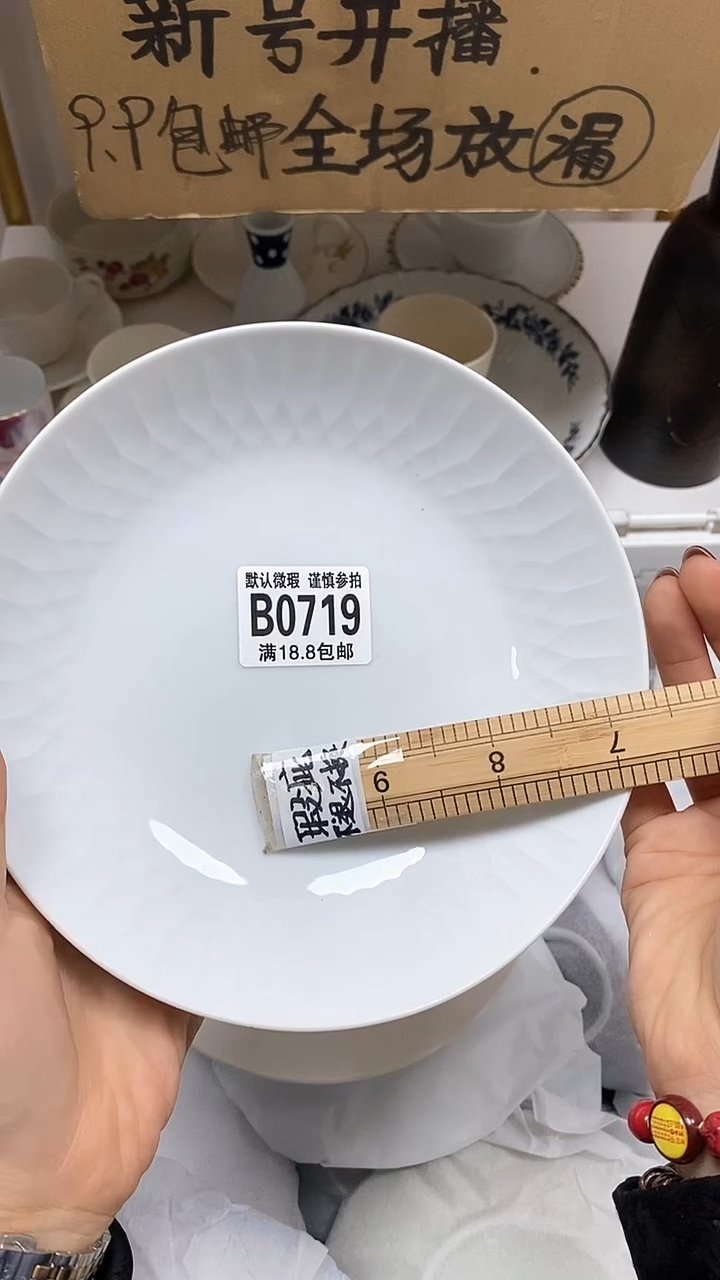 【闪购商品】其他【默认微瑕、谨慎参拍】瑕疵瓷片-719